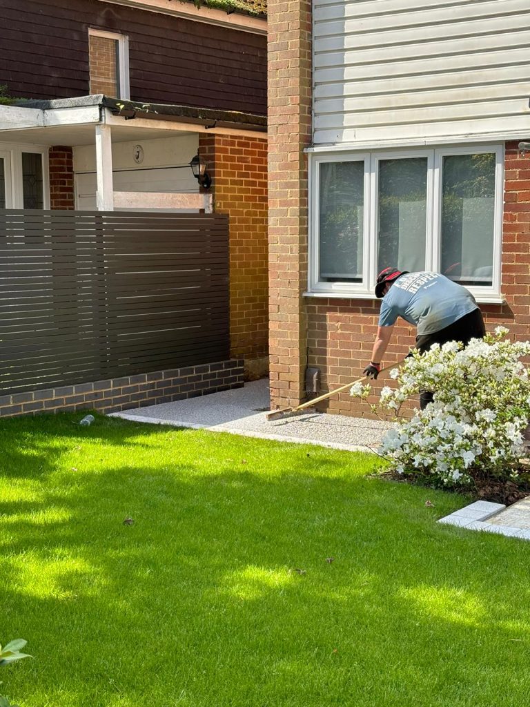 Old Driveway Removed